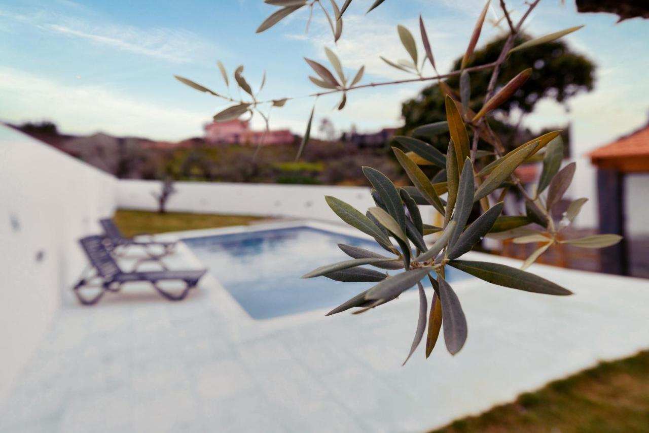 Pomar Das Oliveiras - Private Swimming Pool - Free Ev Chrg - Pet Friendly Carvalhal  Exterior foto